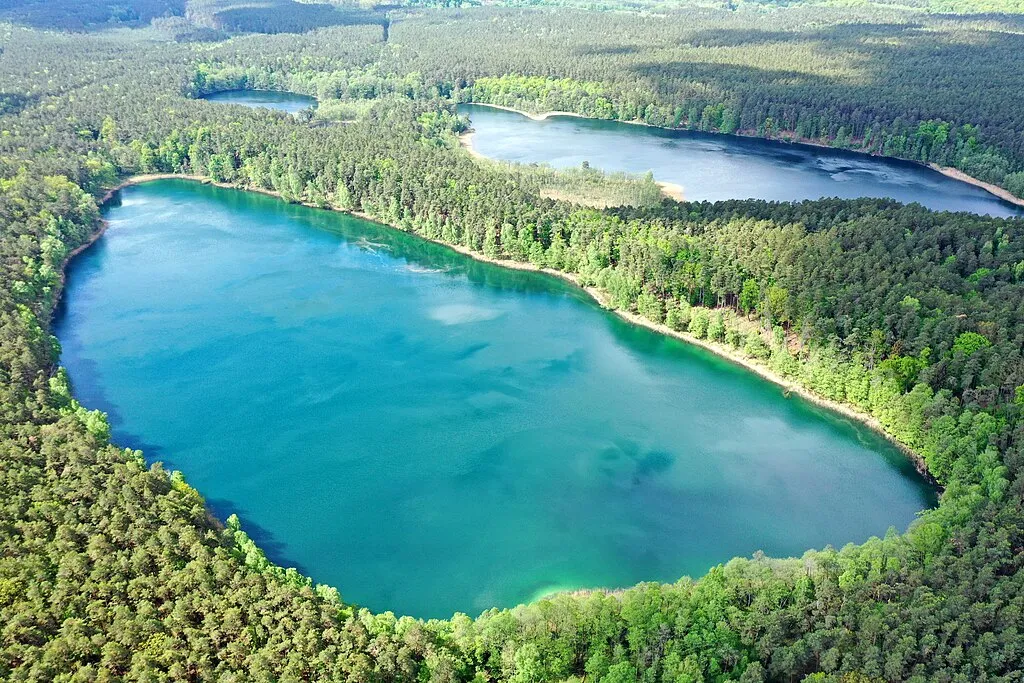 Jezioro Czarne Puszcza Drawska Drawieński Park Narodowy