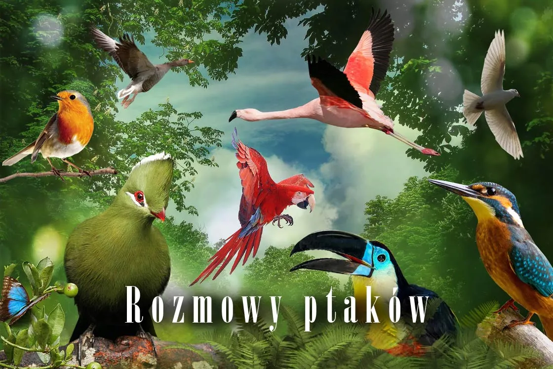 różnorodność ptaków na świecie