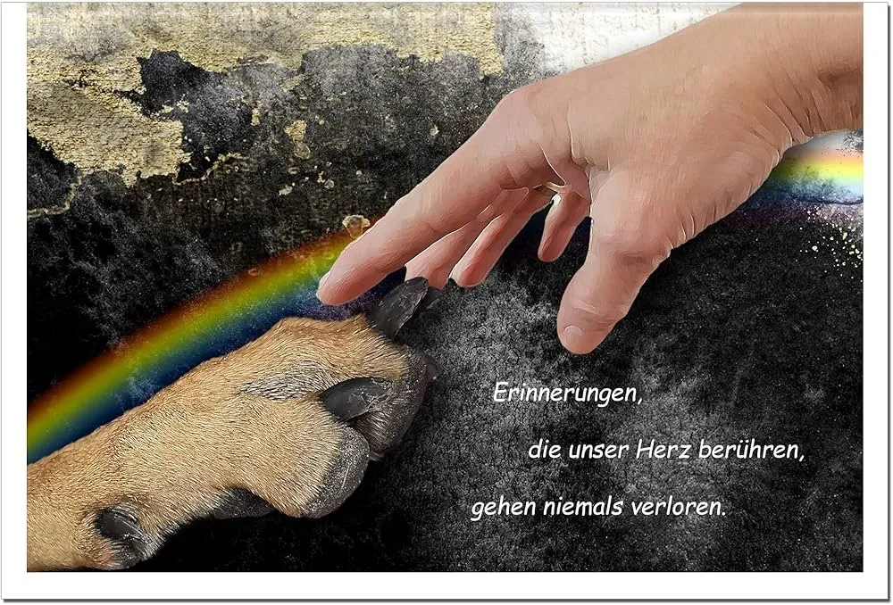 Hund Pfote Hand Abschied