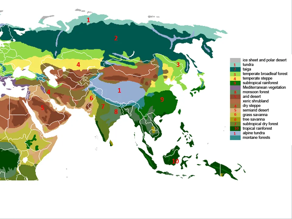 Mapa stref klimatycznych Azji