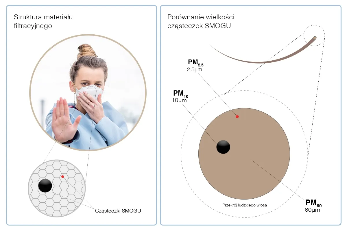 Co to jest smog i z czego się składa