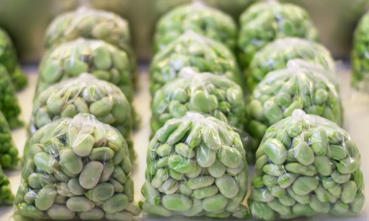 jak wybrać świeży bób oznaki