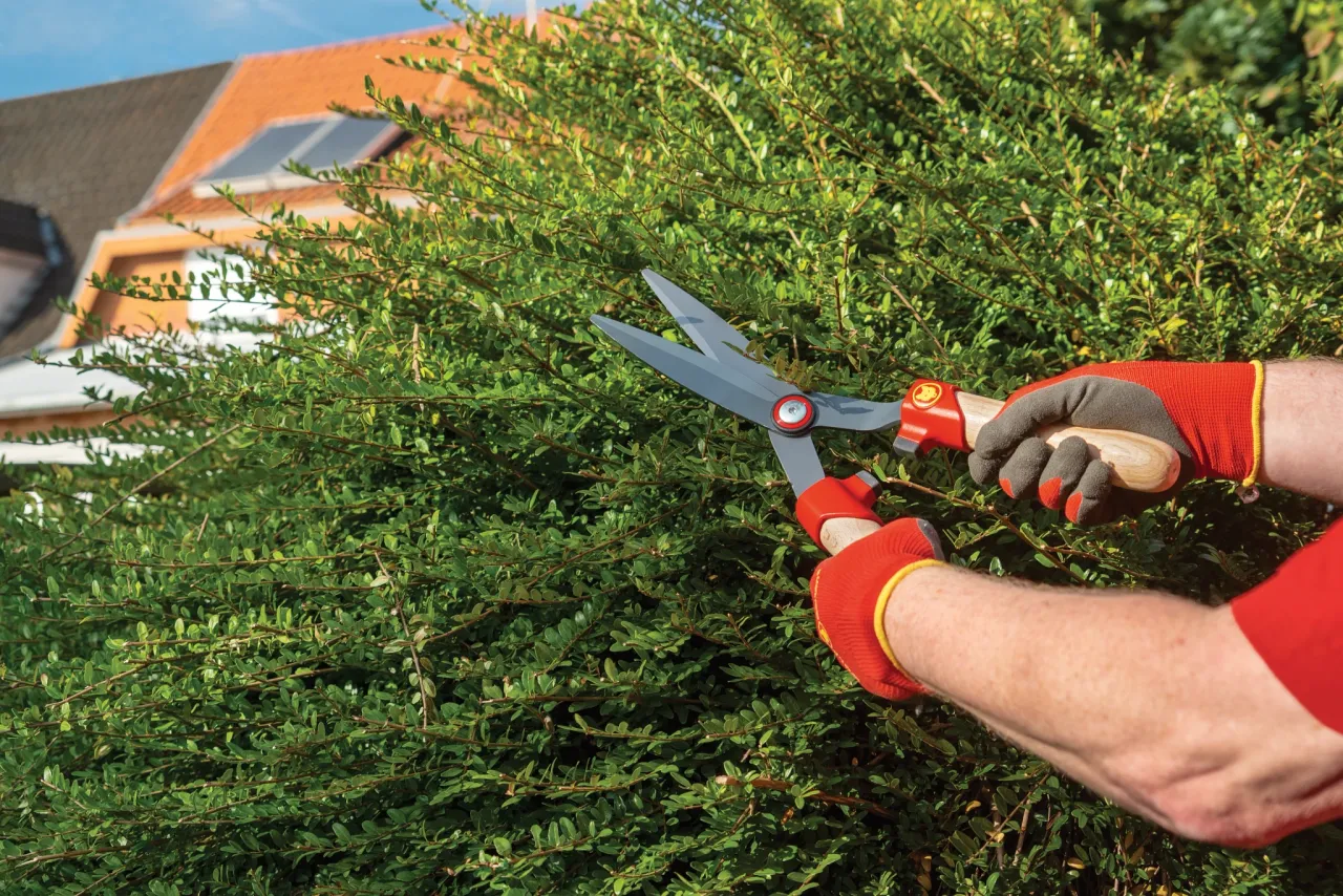 Narzędzia do przycinania krzew&oacute;w