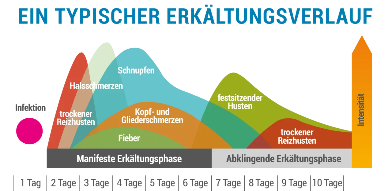 Zdjęcie Die häufigsten symptome grippaler infekt und wie man sie erkennt