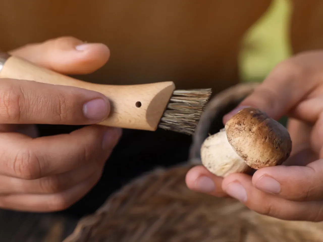 czyszczenie grzyb&oacute;w leśnych pędzelkiem