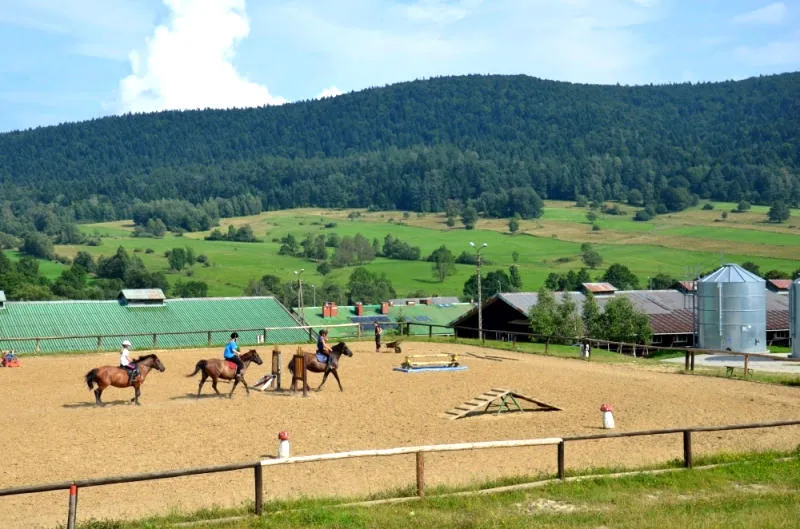 Stadnina koni huculskich Regietów