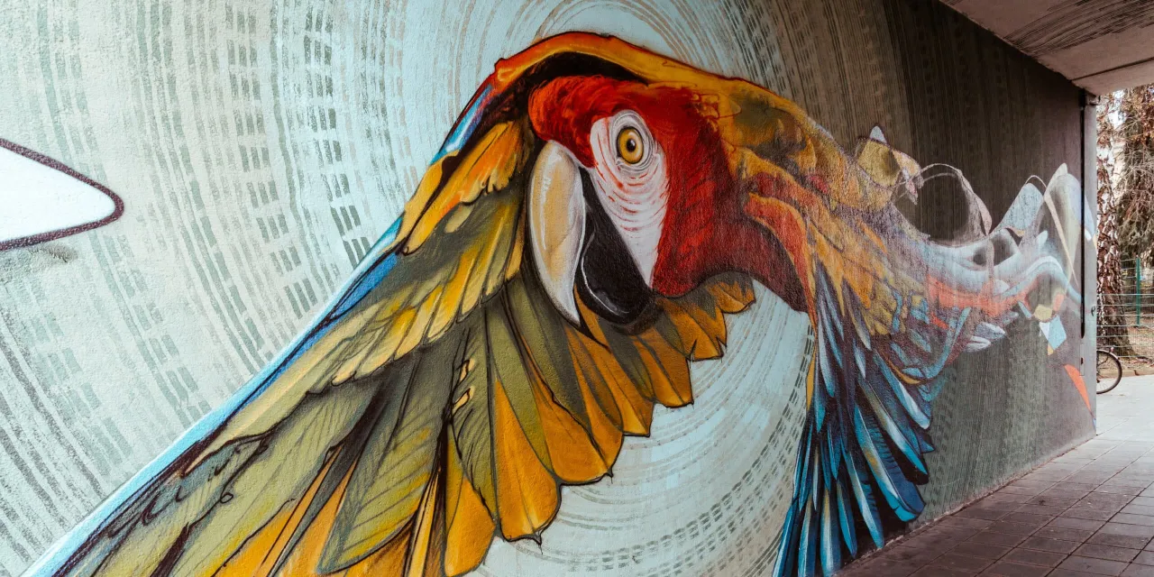 Graffiti K&uuml;nstler N&uuml;rnberg Portfolio Beispiele