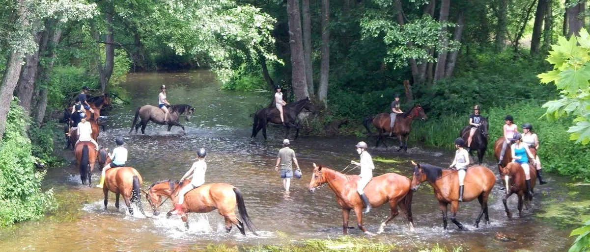 stadnina koni Warmia Mazury krajobraz konie