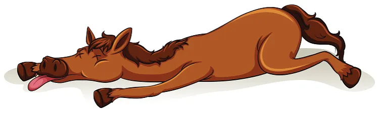 koń zmęczony apatyczny