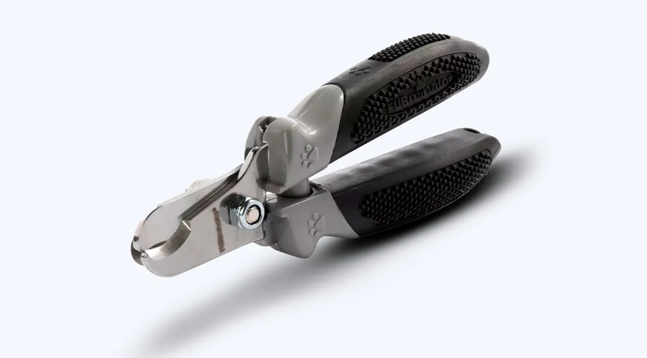 narzędzia do obcinania pazurów kanarka