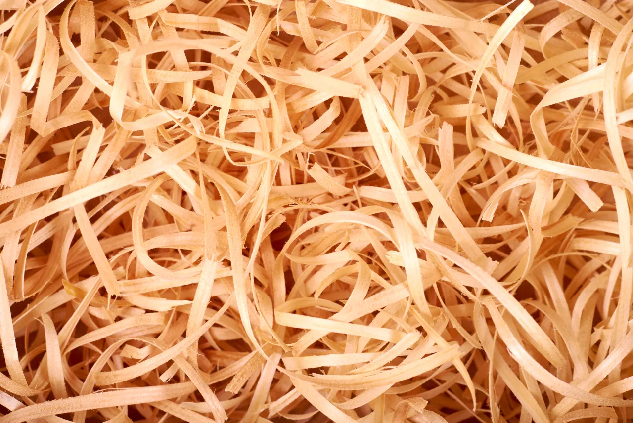 wełna drzewna zastosowania dekoracyjne