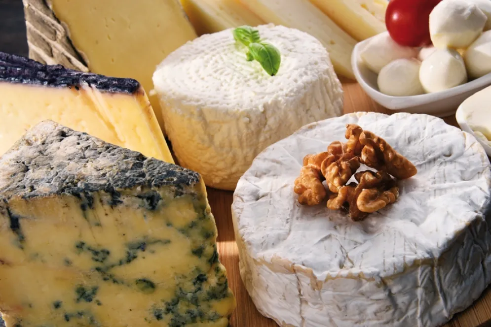 różne rodzaje serów twardych do tarcia