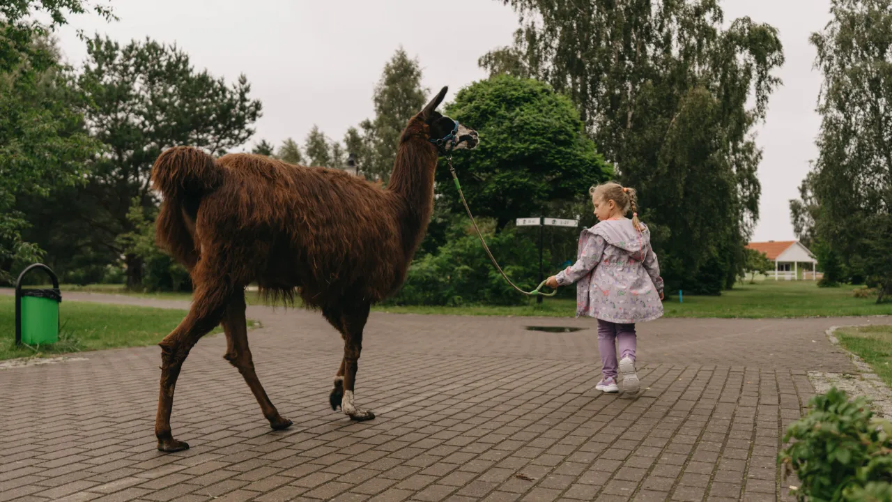 Rodzina w polskim parku narodowym lub ZOO