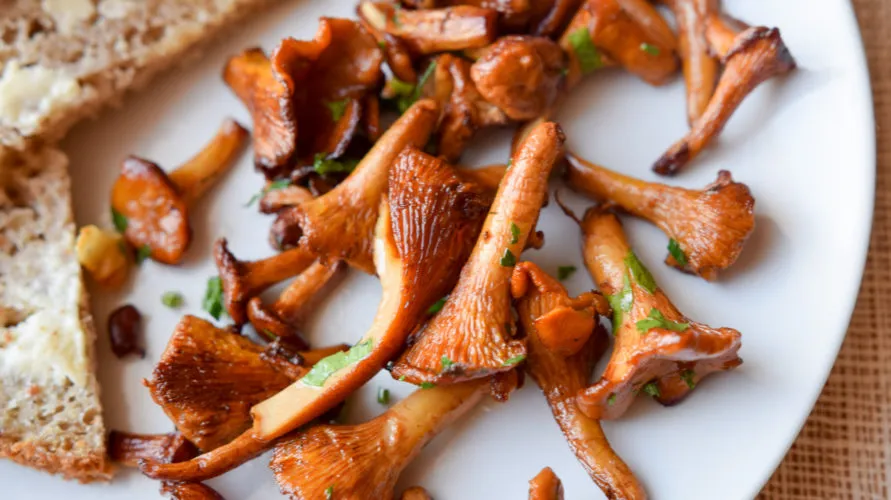 świeże kurki na patelni