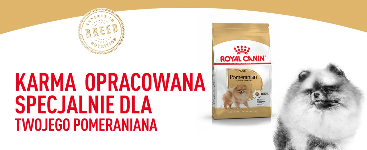 karma sucha i mokra dla szczeniaka pomeraniana