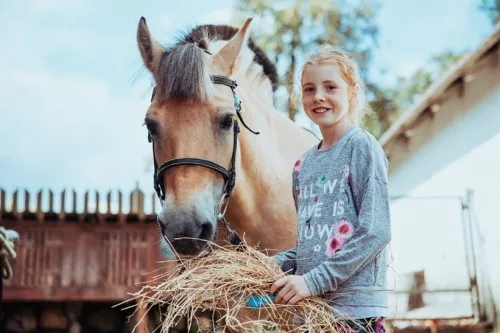 dzieci na obozie jeździeckim naturalnym pracujące z koniem z ziemi