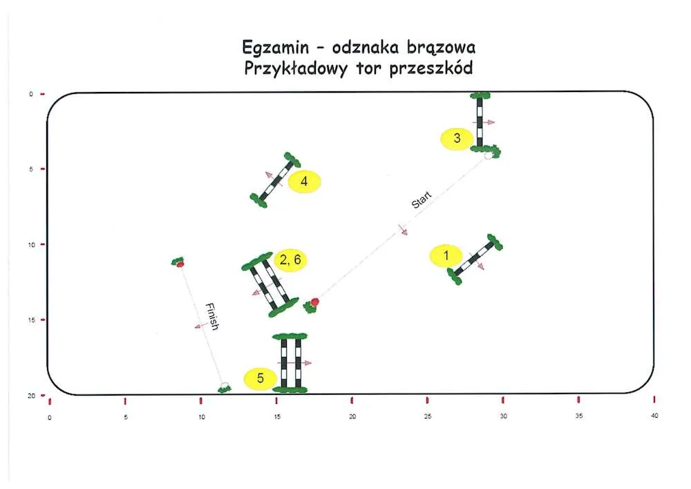 tabela por&oacute;wnująca odznakę jeżdżę konno i brązową odznakę jeździecką