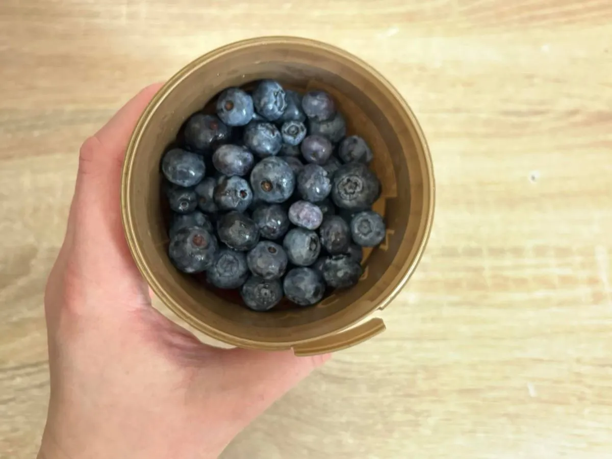 Świeże borówki amerykańskie na sitku