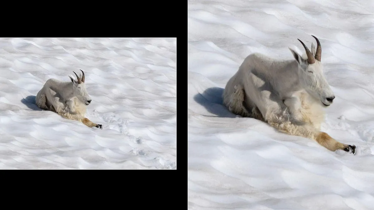 Photoshop Super Resolution przed i po