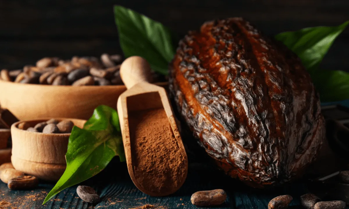 różnica kakao naturalne alkalizowane