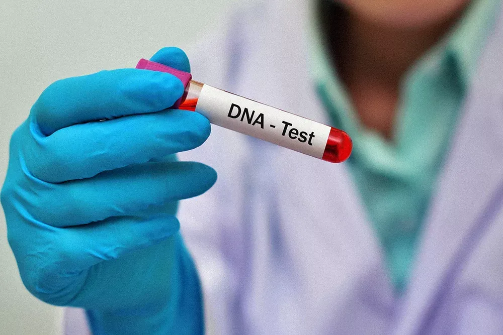 badania DNA historyczne pr&oacute;bki