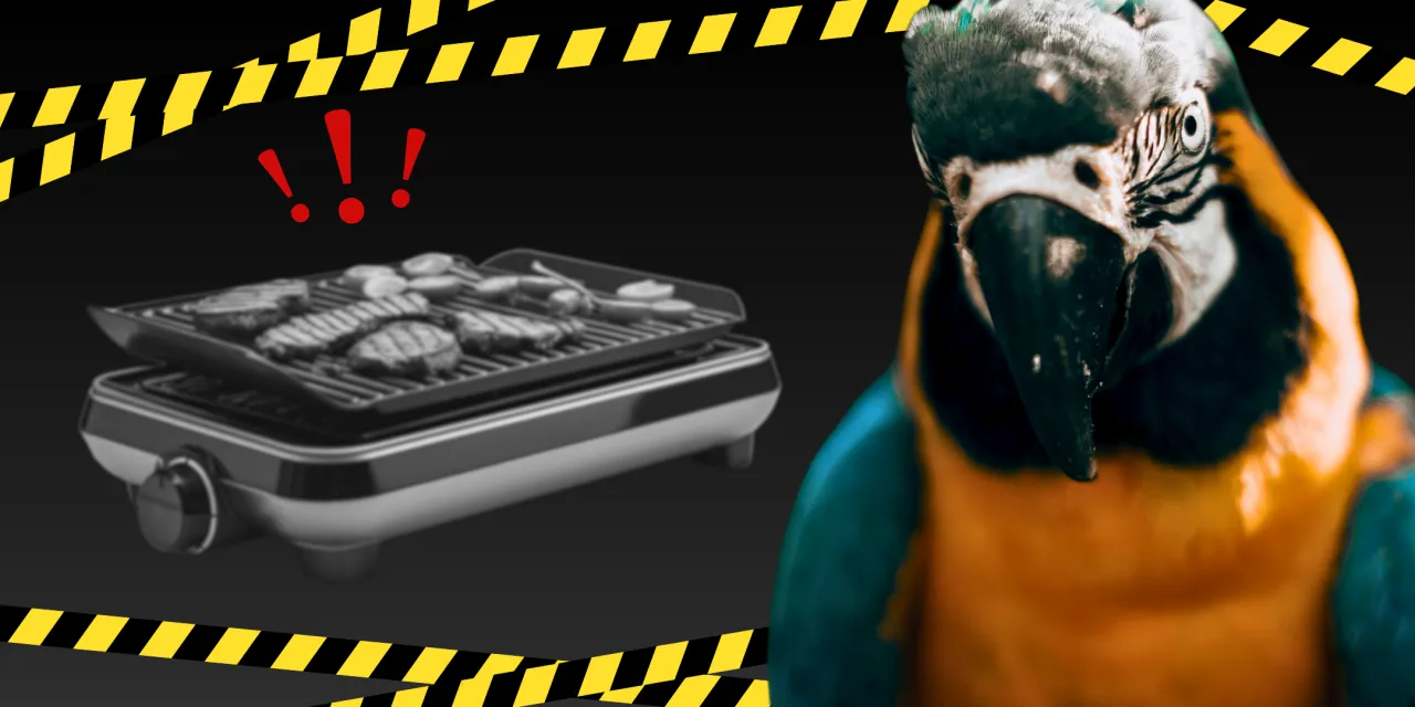 Bezpieczne naczynia kuchenne dla papug