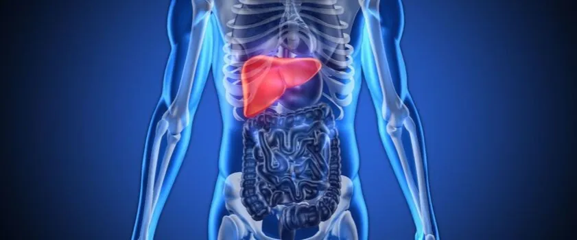 Uszkodzenie wątroby nerki dopalacze