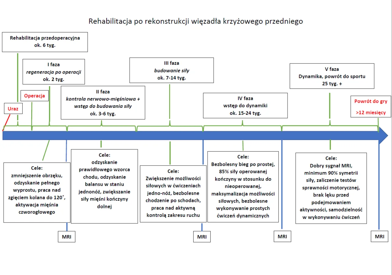 Schemat rehabilitacji po rekonstrukcji więzadła krzyżowego. Fizjoterapia kolana na czym polega? Od urazu, przez operację, do powrotu do sportu.