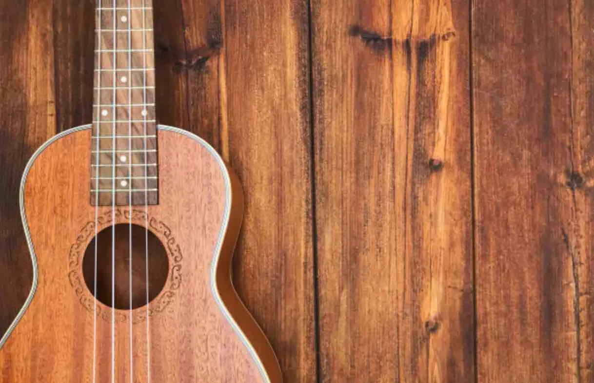 Zdjęcie Jakie ukulele do 300 zł: najlepsze wybory dla początkujących muzyków