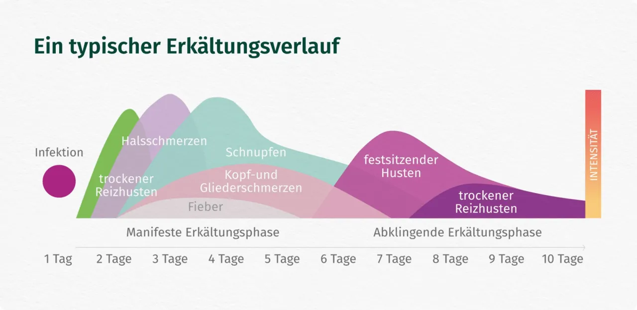 Wann zum Arzt Husten