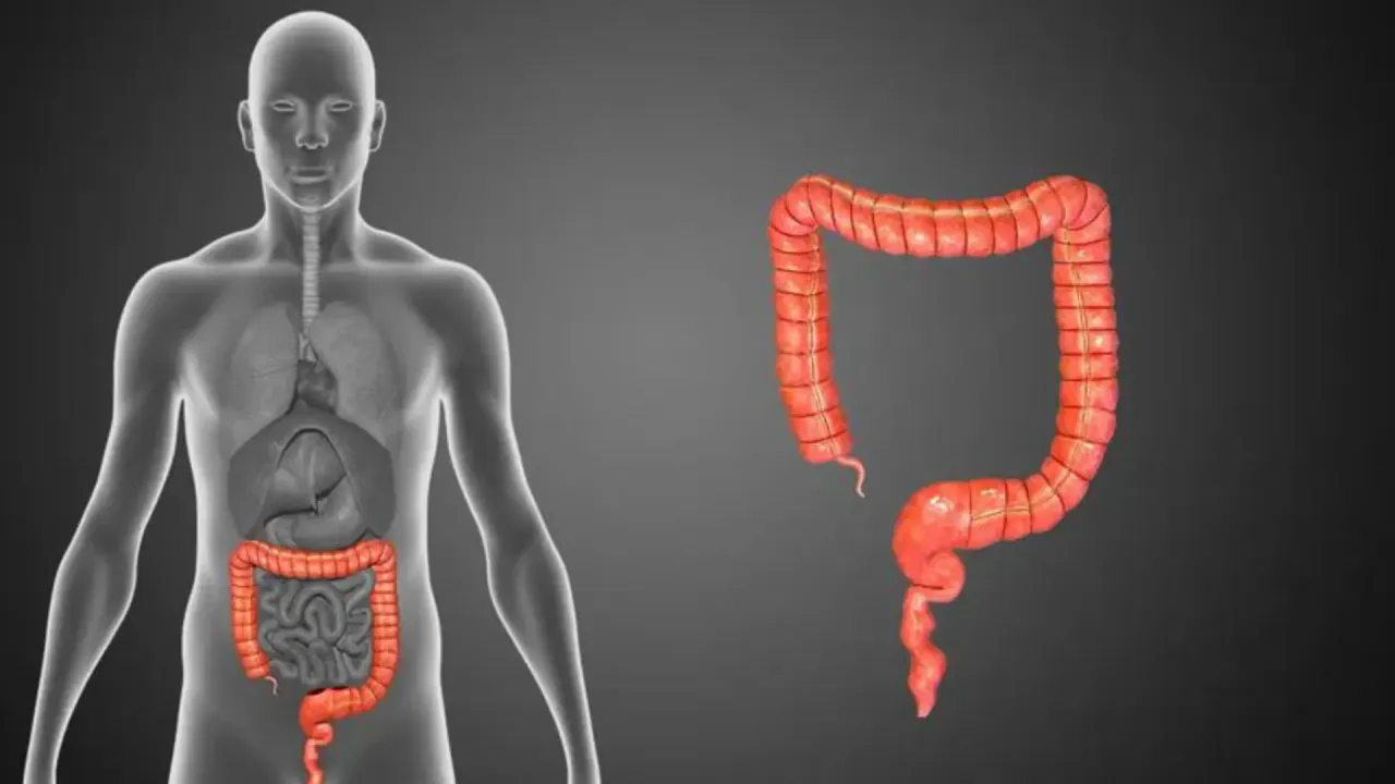 Wpływ antybiotyku na florę jelitową