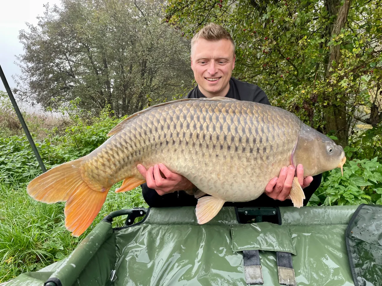 Szczęśliwy wędkarz trzyma ogromnego karpia. To wspaniałe ryby, które można złowić na morwie.