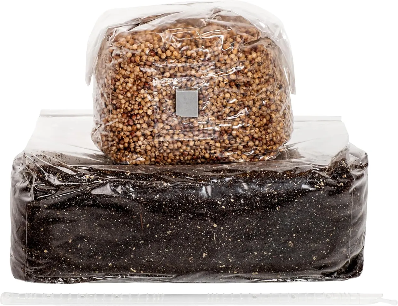 Monotub hodowla grzybów