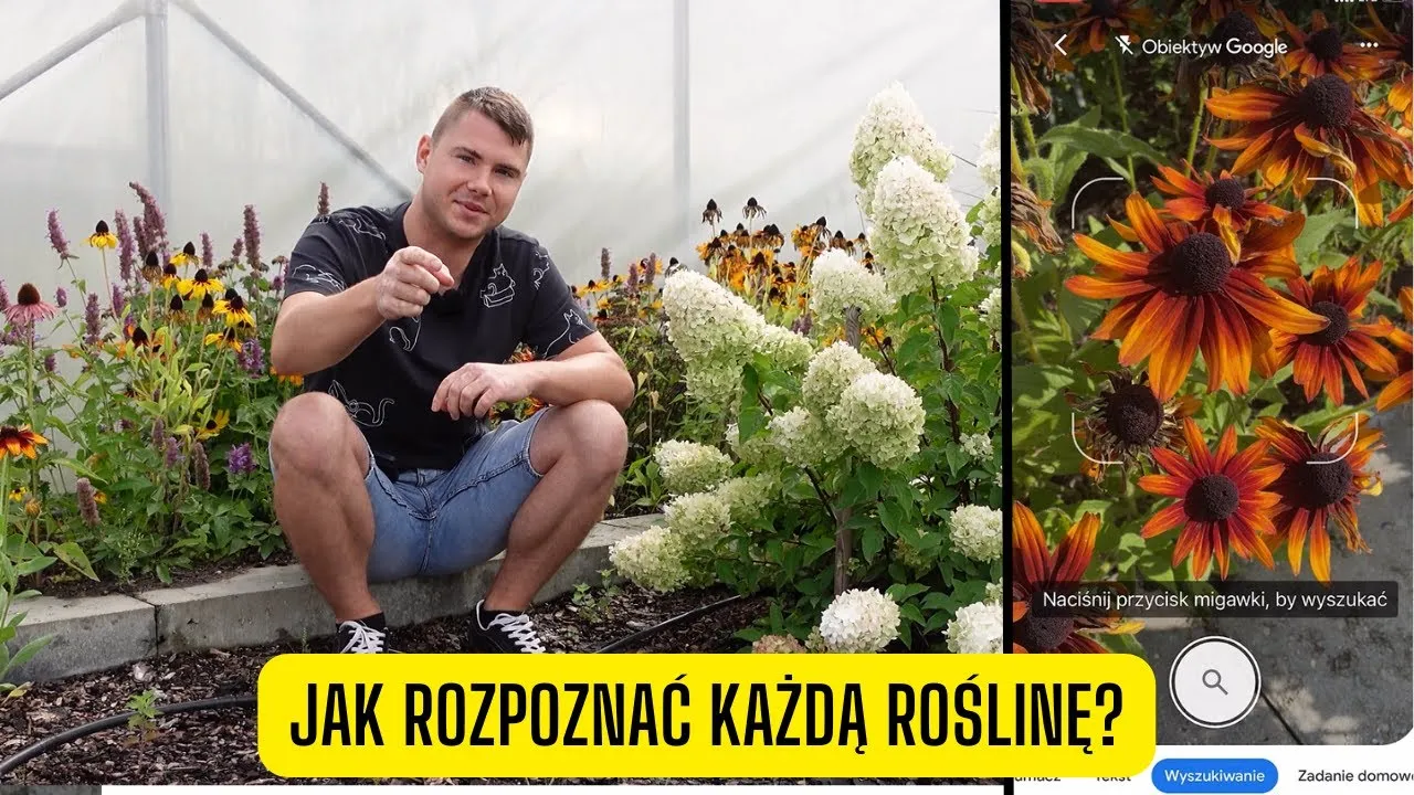Jak zrobić dobre zdjęcie rośliny do identyfikacji