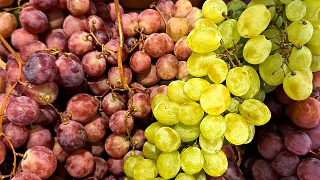 winogrona białe i czerwone, odmiany winogron