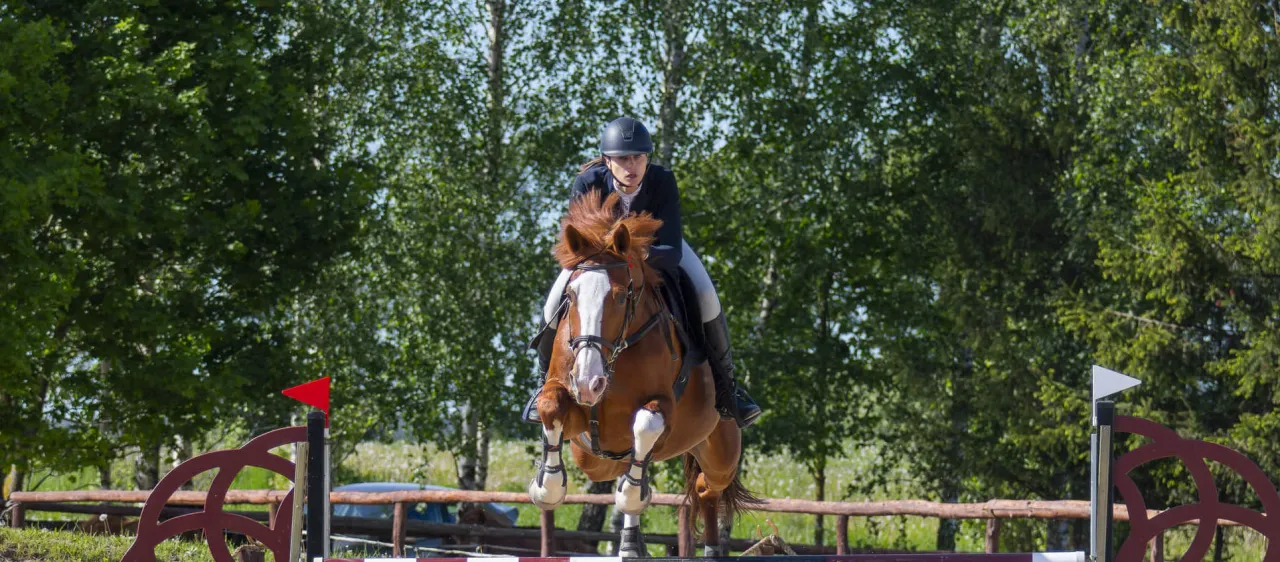 jeździec na koniu w stajni z instruktorem