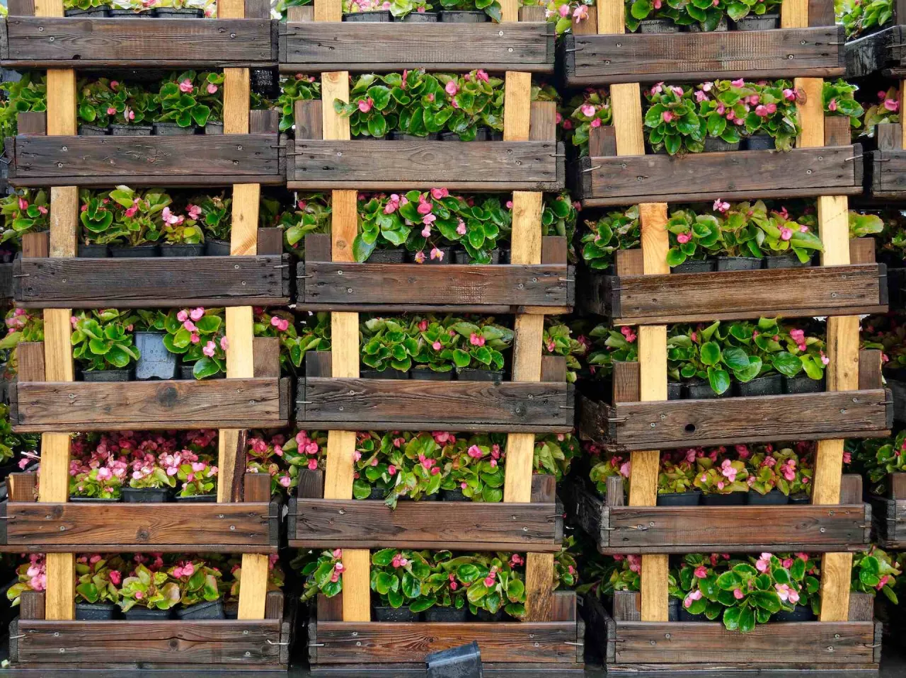 różne gatunki drewna na kwietnik, kwietnik z palet