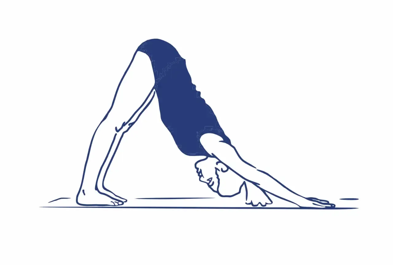 Pozycja psa z głową w d&oacute;ł w jodze, kt&oacute;ra pomaga jak zmniejszyć b&oacute;l podczas okresu.