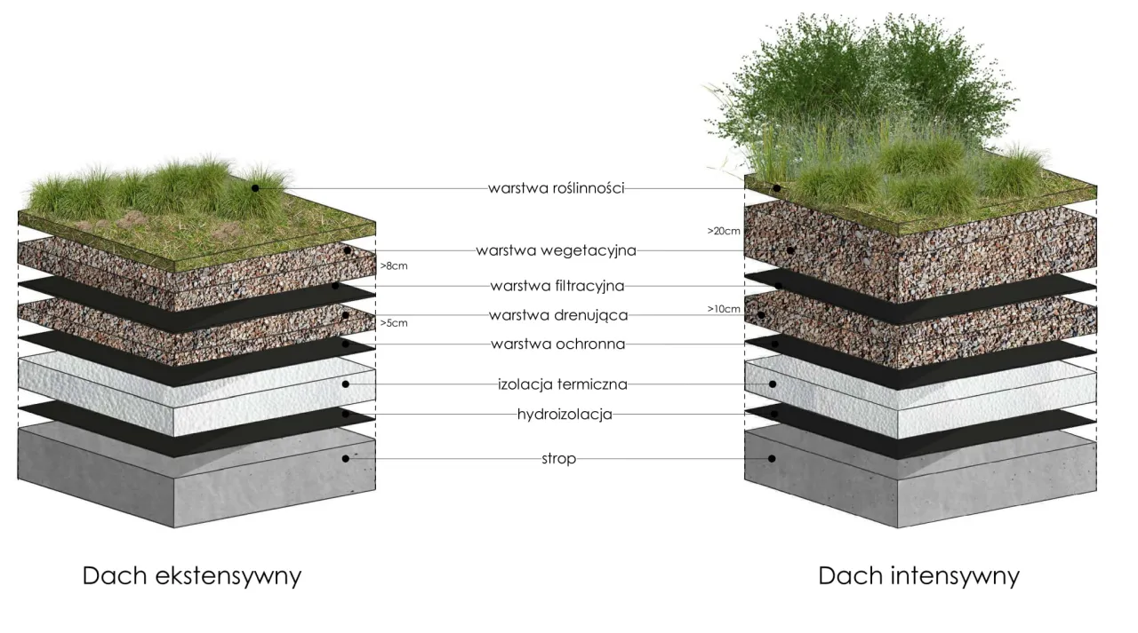 przekr&oacute;j zielonego dachu warstwy schemat