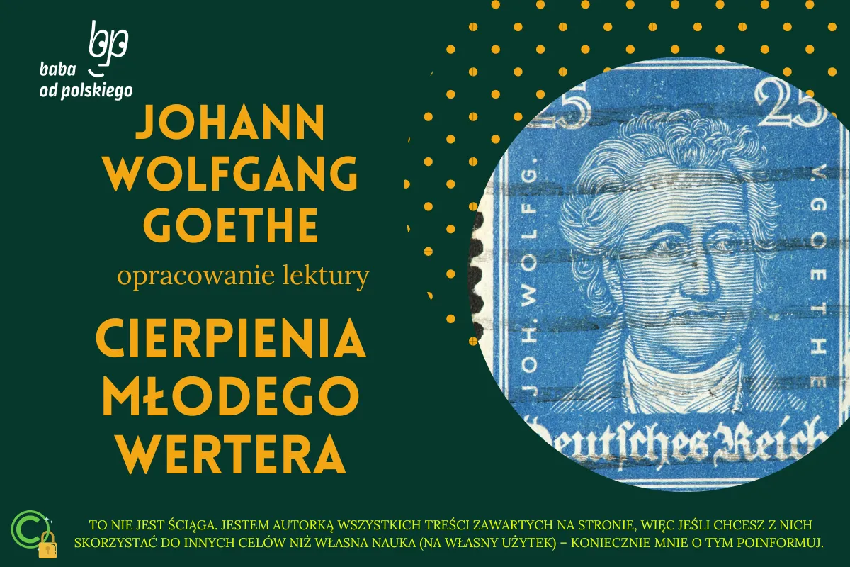 Cierpienia młodego Wertera okładka książki