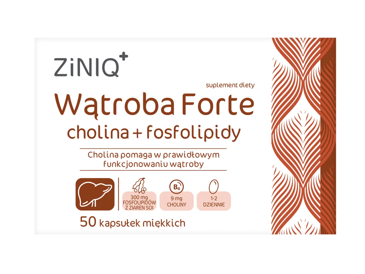 Suplement diety ZiNiQ+ Wątroba Forte zawiera cholinę, kt&oacute;ra wspiera prawidłowe funkcjonowanie wątroby. Opakowanie zawiera 50 kapsułek.