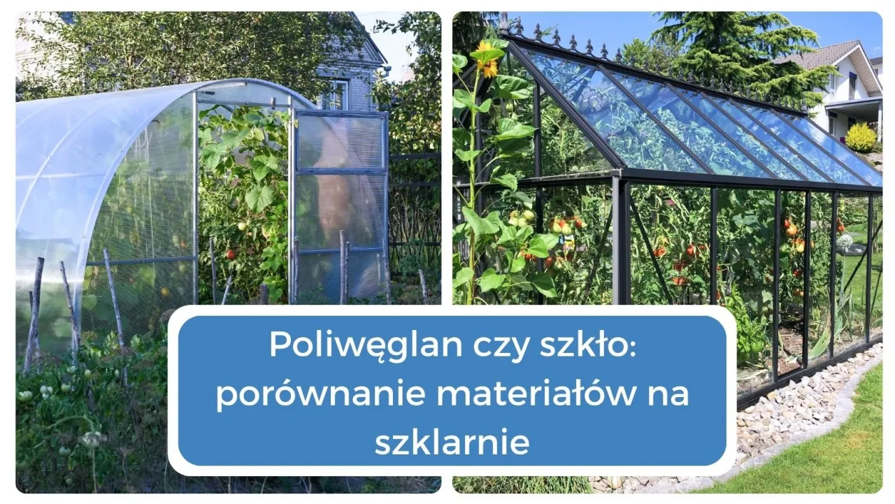 Szklarnia szklana i poliwęglanowa porównanie