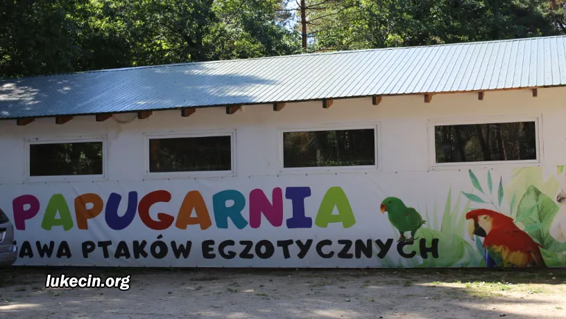 Zdjęcie Atrakcje w Pobierowie, które zachwycą dzieci i dorosłych na wakacjach