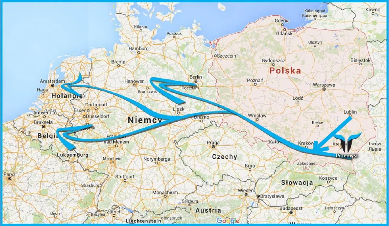 Mapa Polski i Austrii z zaznaczonymi trasami bus&oacute;w