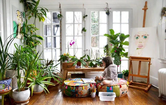 rośliny do pokoju jogi