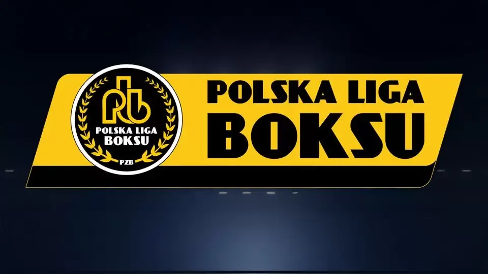 Kanały sportowe boks Polska logo