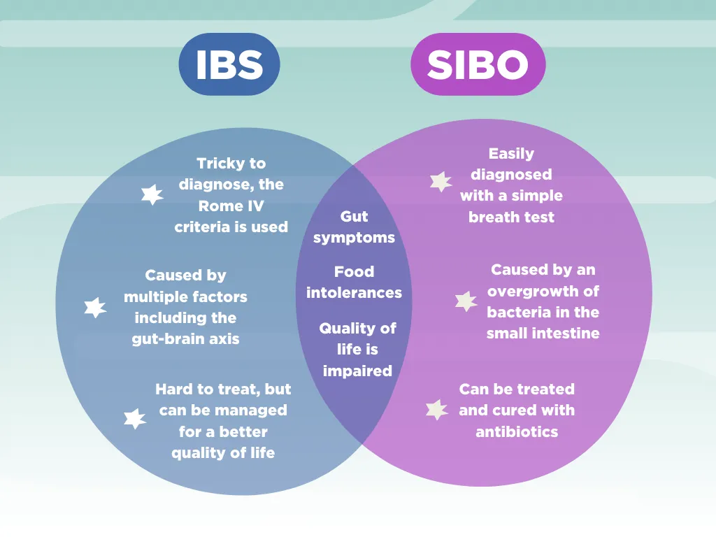 Porównanie objawów IBS SIBO IBD