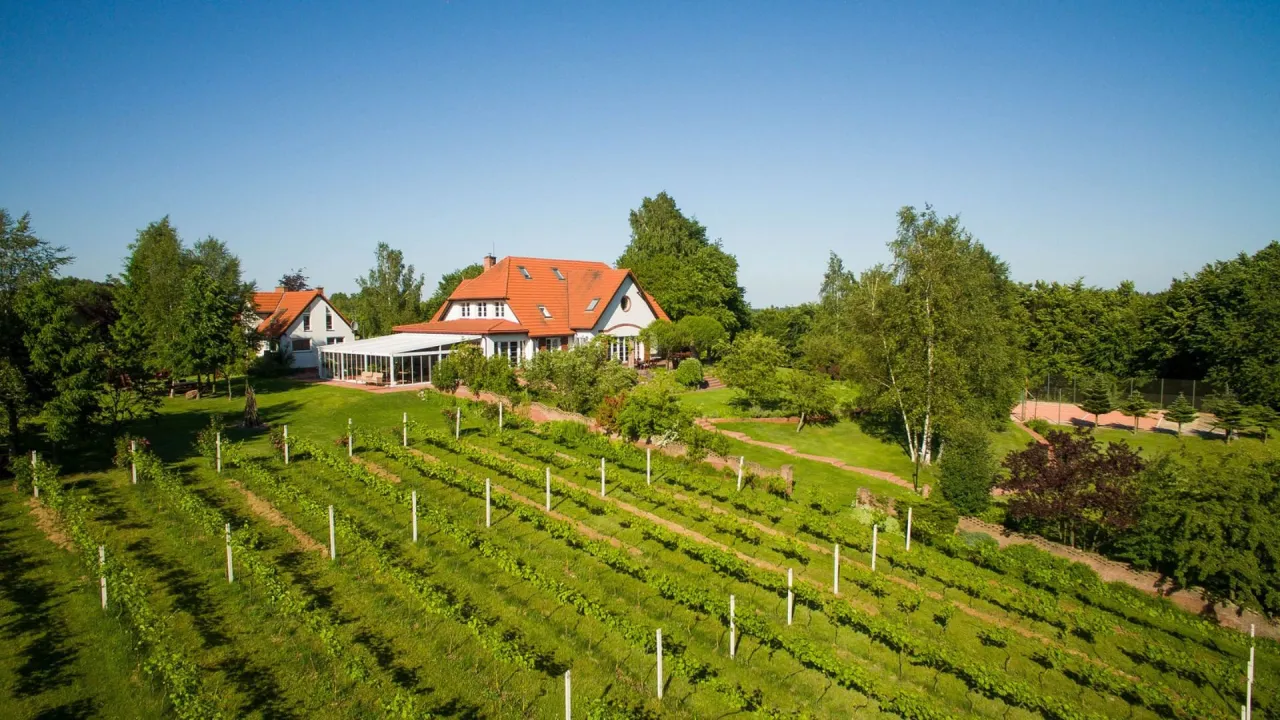 Piękna plantacja winogron rozciąga się przed domem z oranżerią. W oddali widać kort tenisowy.