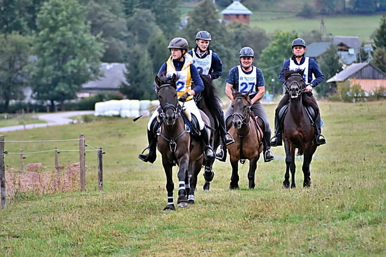 dni huculskie gładysz&oacute;w festiwal koni