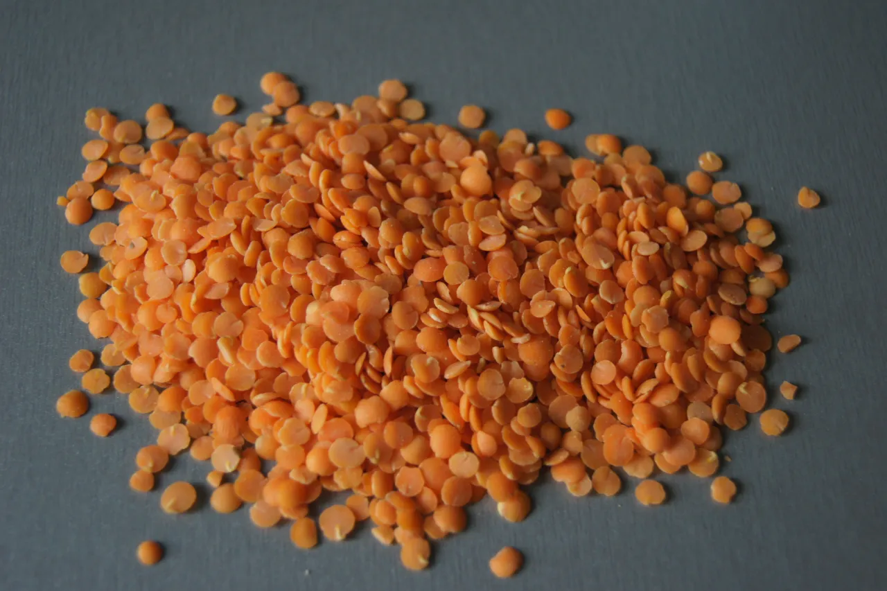 soczewica dla niemowlaka korzyści